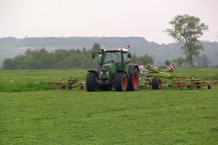 Landwirtschaftliche Nutzung im Blockland, Foto: Arno Schoppenhorst
