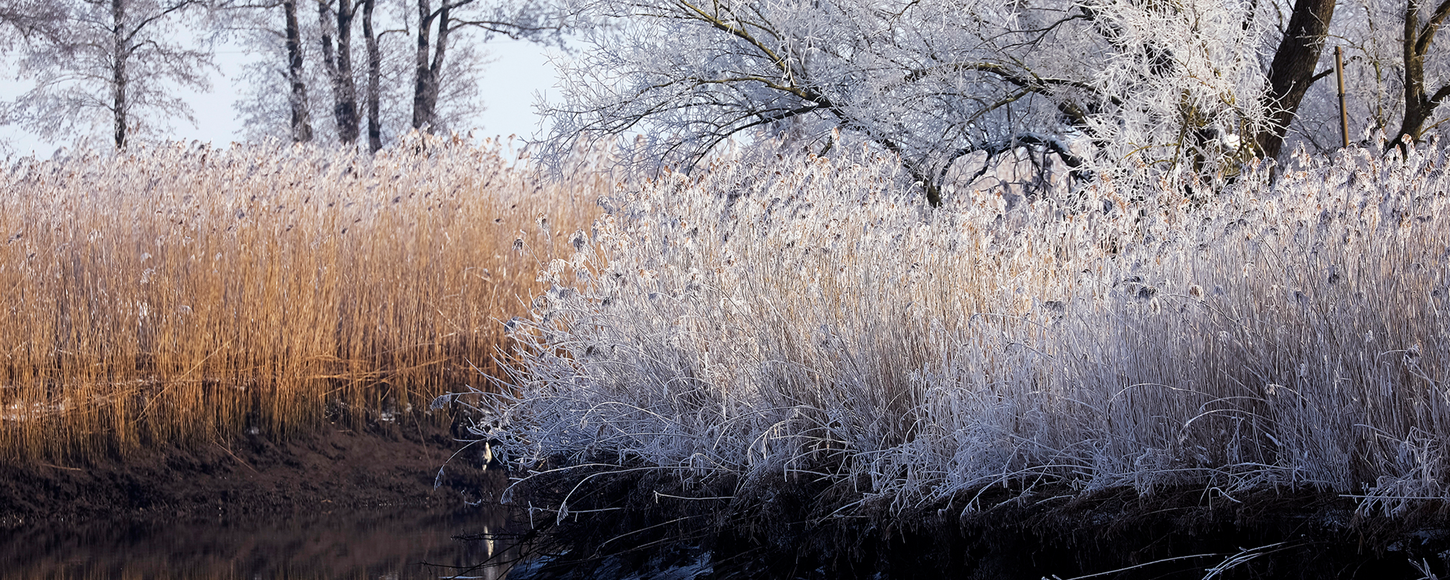 Naturfoto: Winterliche Untere Wümme ©A. Nowara