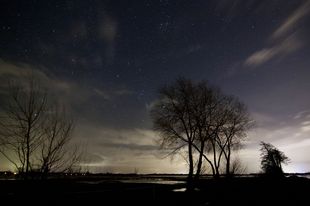 Der Himmelsjäger über den Wümmewiesen, Foto: Adam Nowara