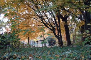 Herbst an der Lesum, Foto: Adam Nowara