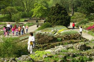 Der vielseitige Botanische Garten im Bremer Rhododendronpark