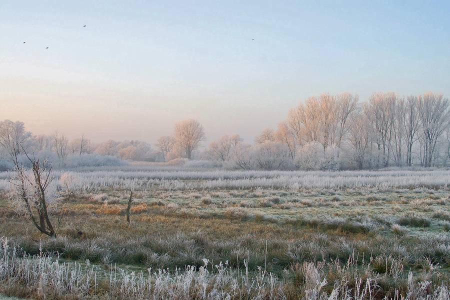 Woerter Rauiken Raureif im Blockland: Erlebnisraum Natur